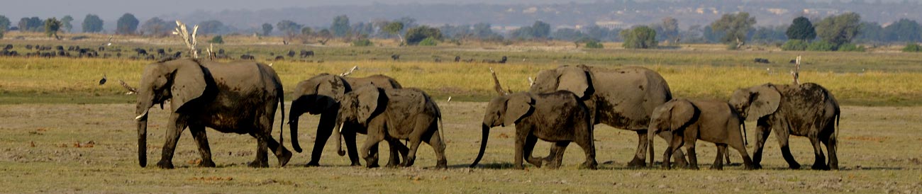 Delta & Kruger Adventure Tour